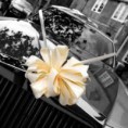 /album/vyzdoba-auta/images-13-jpg/
